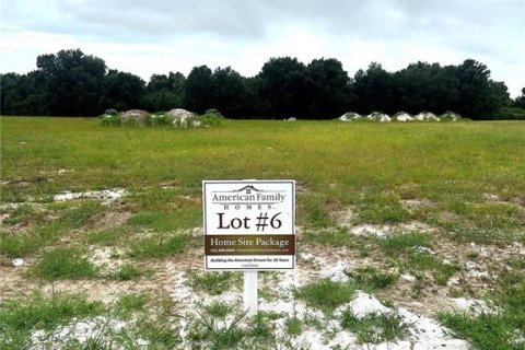 Terreno en venta en Umatilla, Florida № 1823131 - foto 1