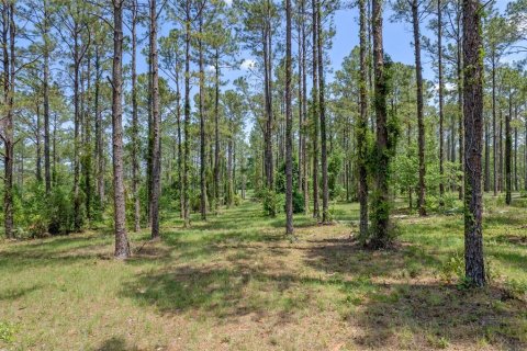 Land in Eustis, Florida № 2106062