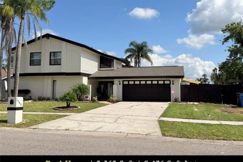 House in Tampa, Florida 4 bedrooms, 219.44 sq.m. № 2142004