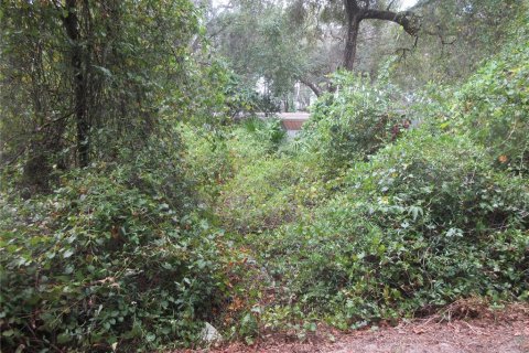 Land in Silver Springs Shores, Florida № 2164238 - photo 5