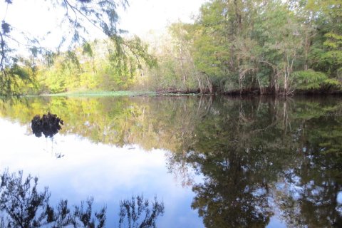 Land in Silver Springs Shores, Florida № 2164238 - photo 22