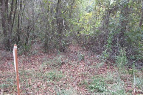 Land in Silver Springs Shores, Florida № 2164238