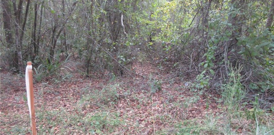 Land in Silver Springs Shores, Florida № 2164238