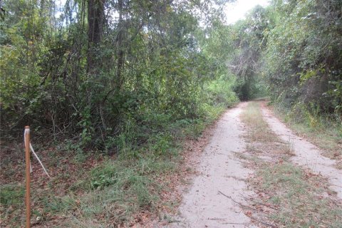 Land in Silver Springs Shores, Florida № 2164238 - photo 2