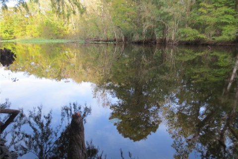 Land in Silver Springs Shores, Florida № 2164238 - photo 21