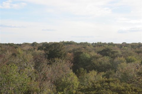 Land in Silver Springs Shores, Florida № 2164238 - photo 11