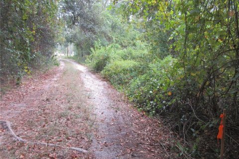 Land in Silver Springs Shores, Florida № 2164238 - photo 6
