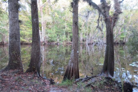 Land in Silver Springs Shores, Florida № 2164238 - photo 19