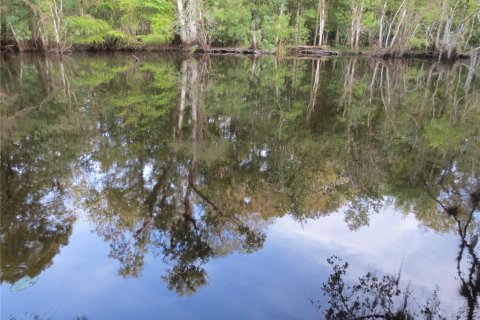 Land in Silver Springs Shores, Florida № 2164238 - photo 23