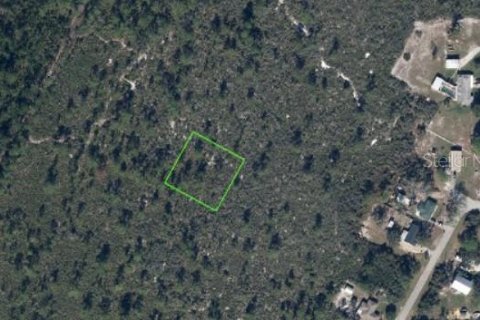 Land in Lake Placid, Florida № 2162454 - photo 2
