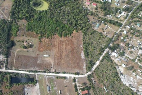 Land in Wimauma, Florida № 2135464 - photo 4