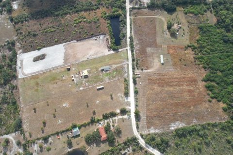 Land in Wimauma, Florida № 2135464 - photo 6