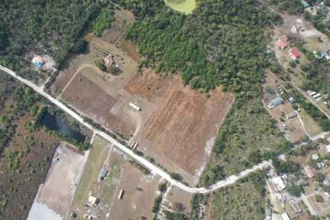 Land in Wimauma, Florida № 2135464 - photo 5