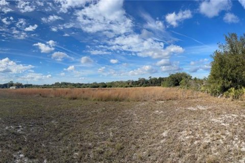 Land in Wimauma, Florida № 2135464 - photo 8