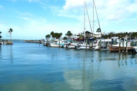 Appartement à louer à Dunedin, Floride: 1 chambre, 51.1 m2 № 2403049 - photo 12