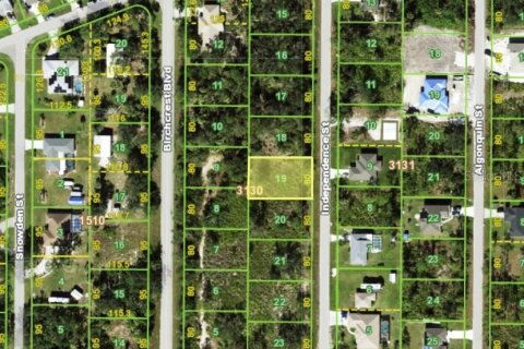 Land in Port Charlotte, Florida № 2211118