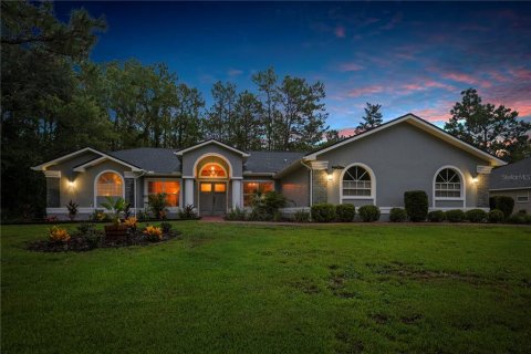 House in Homosassa, Florida 3 bedrooms, 211.82 sq.m. № 1846612 - photo 2