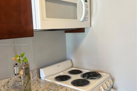 Снять в аренду виллу или дом в Холливуд, Флорида 1 спальня, 138.05м2, № 2051647 - фото 3