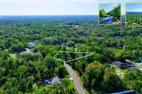 Land in Ocklawaha, Florida № 2165610 - photo 7