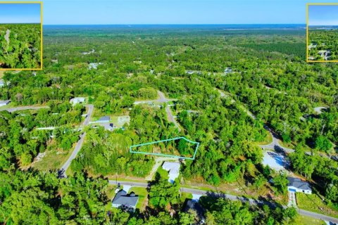Land in Ocklawaha, Florida № 2165610 - photo 5