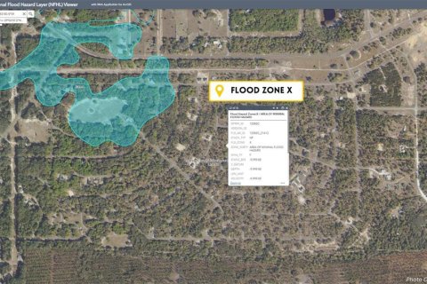 Land in Ocklawaha, Florida № 2165610 - photo 11