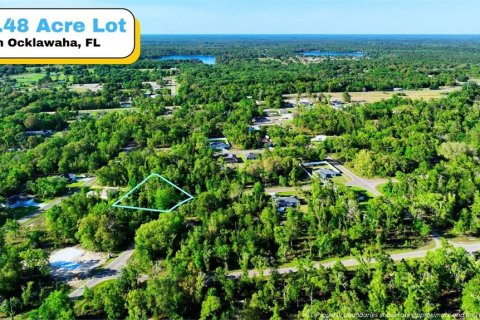 Land in Ocklawaha, Florida № 2165610