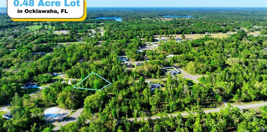 Land in Ocklawaha, Florida № 2165610