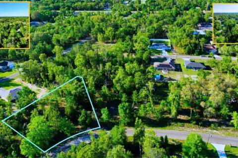 Land in Ocklawaha, Florida № 2165610 - photo 4