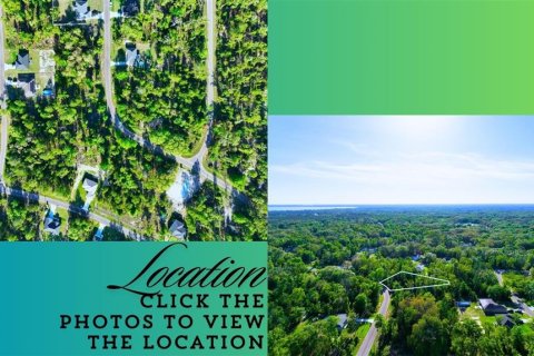 Land in Ocklawaha, Florida № 2165610 - photo 3