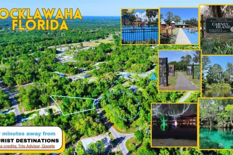 Land in Ocklawaha, Florida № 2165610 - photo 13