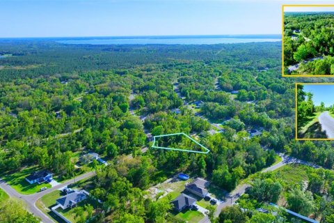 Land in Ocklawaha, Florida № 2165610 - photo 9