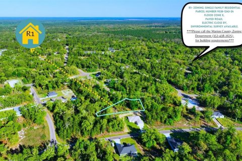 Land in Ocklawaha, Florida № 2165610 - photo 2