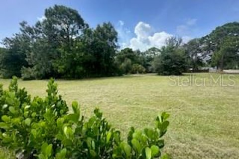 Land in Sarasota, Florida № 249486 - photo 23