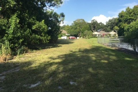 Land in Sarasota, Florida № 249486 - photo 3