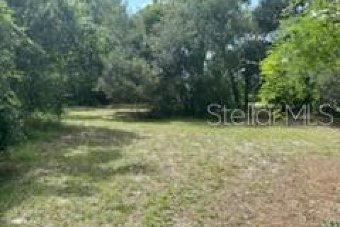 Land in Sarasota, Florida № 249486 - photo 8