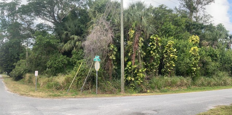 Terrain à Fort Pierce, Floride № 1076914