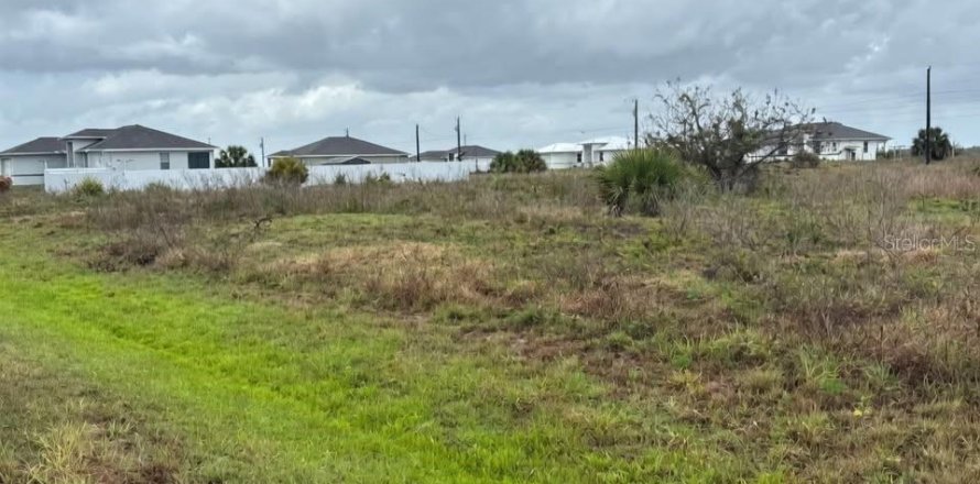Terrain à LaBelle, Floride № 2166442