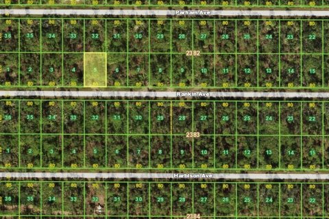 Land in Port Charlotte, Florida № 2165745 - photo 3