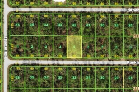Land in Port Charlotte, Florida № 2165745 - photo 2