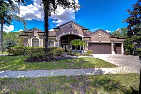 House in Land O' Lakes, Florida 4 bedrooms, 335.28 sq.m. № 1898568 - photo 1