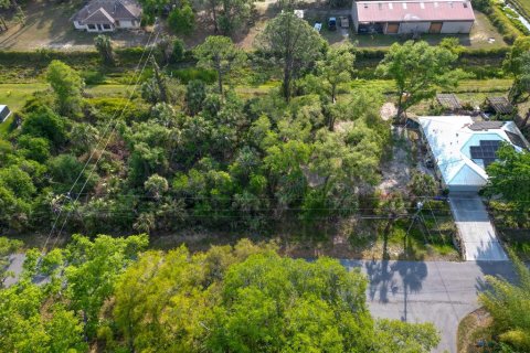 Land in North Port, Florida № 2165760 - photo 3