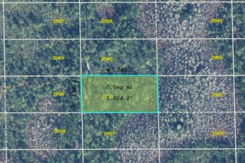 Land in Orlando, Florida № 2163938 - photo 3