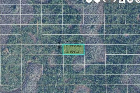 Land in Orlando, Florida № 2163938 - photo 2