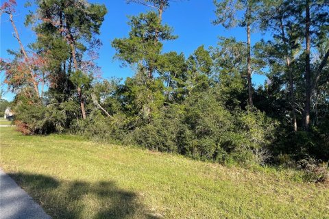 Terrain à Ocala, Floride № 2164601