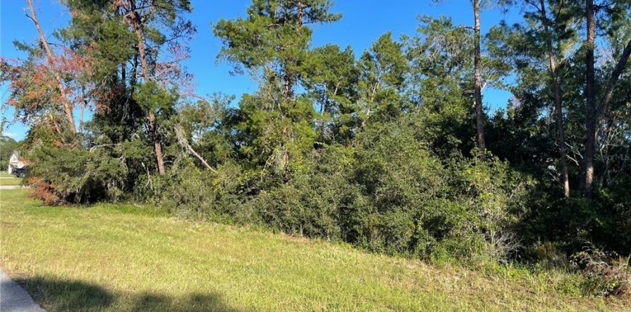 Terrain à Ocala, Floride № 2164601