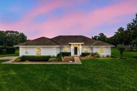 Villa ou maison à vendre à Ocala, Floride: 3 chambres, 166.39 m2 № 2267442 - photo 3