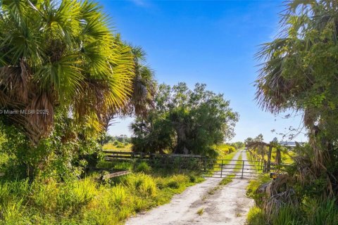 Commercial property in Vero Beach, Florida № 2013330 - photo 7
