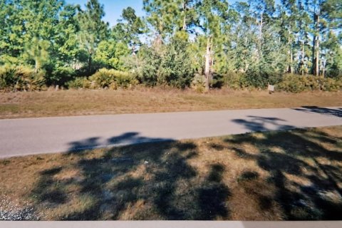 Land in Clewiston, Florida № 2158983