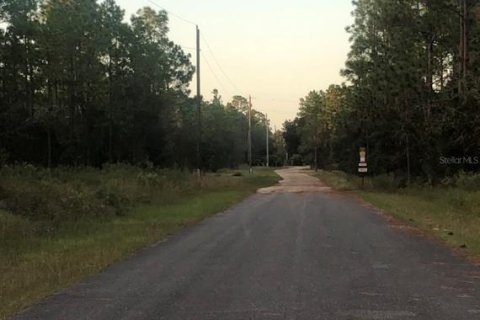 Land in Dunnellon, Florida № 1444104 - photo 3