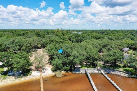 Land in Niceville, Florida № 558526 - photo 1